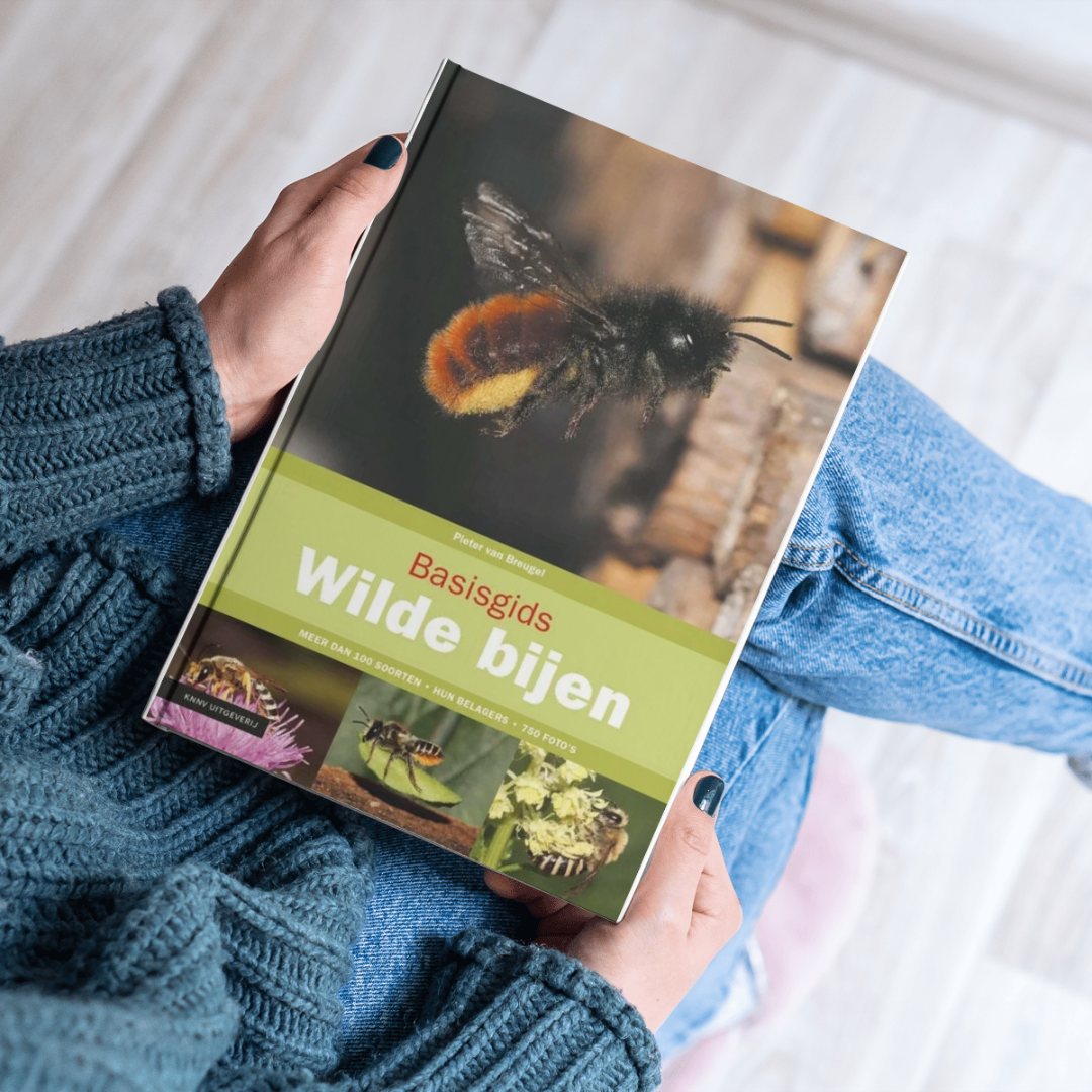 Boek basisgids wilde bijen