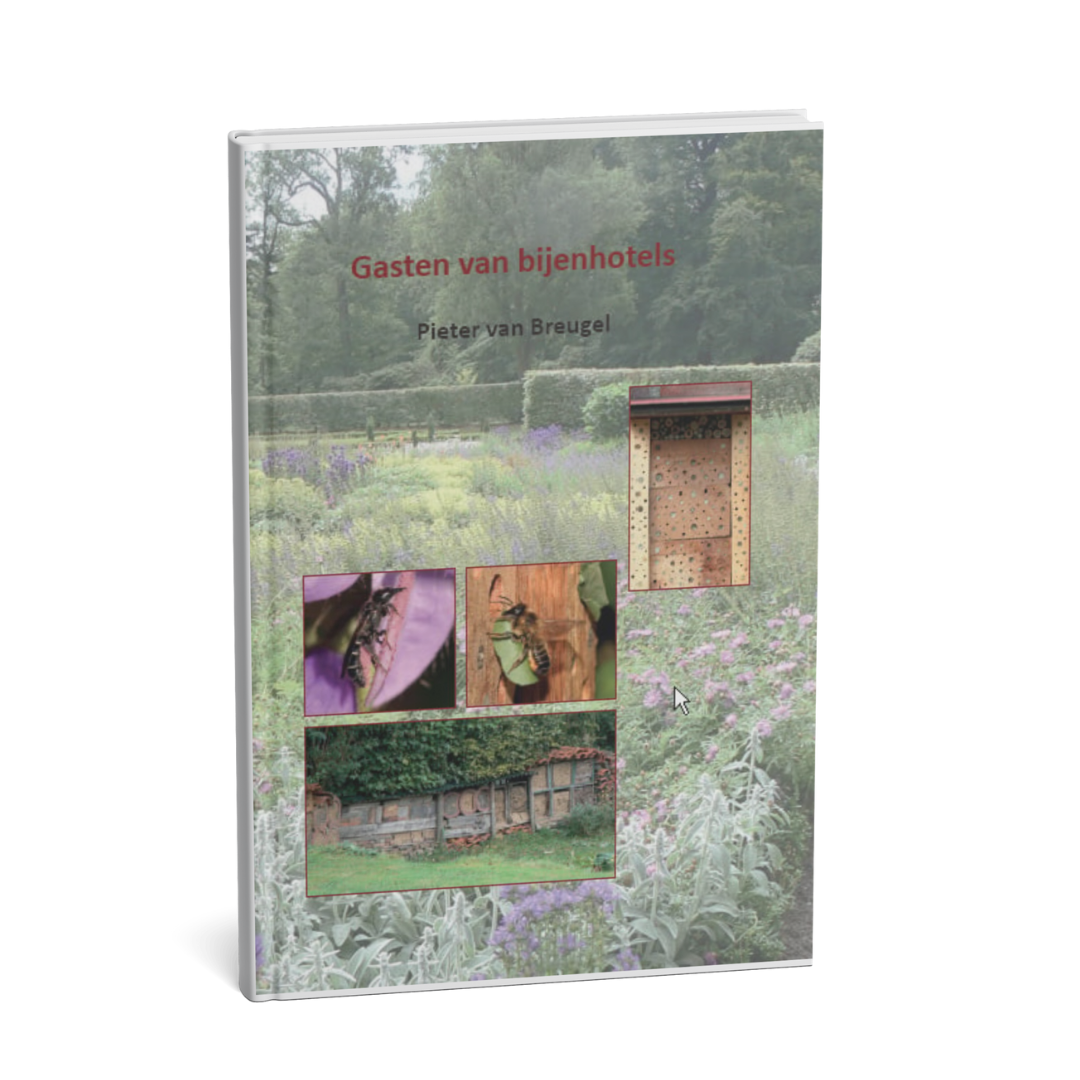 Boekomslag 'gasten van bijenhotels'