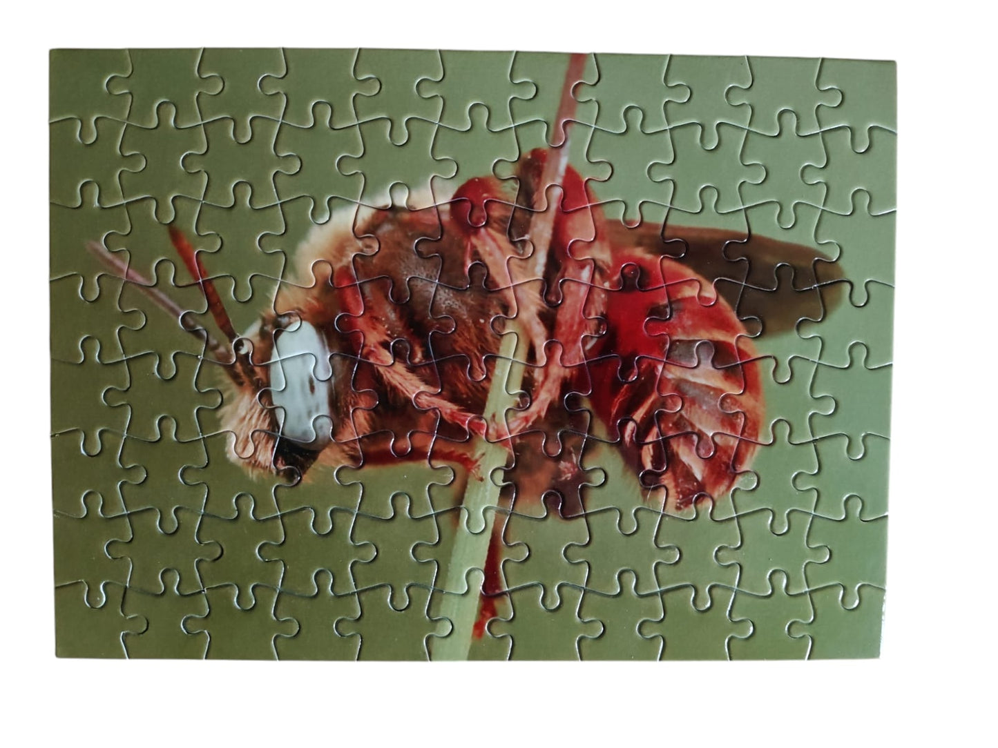 Puzzel nr 10 Bonte Viltbij