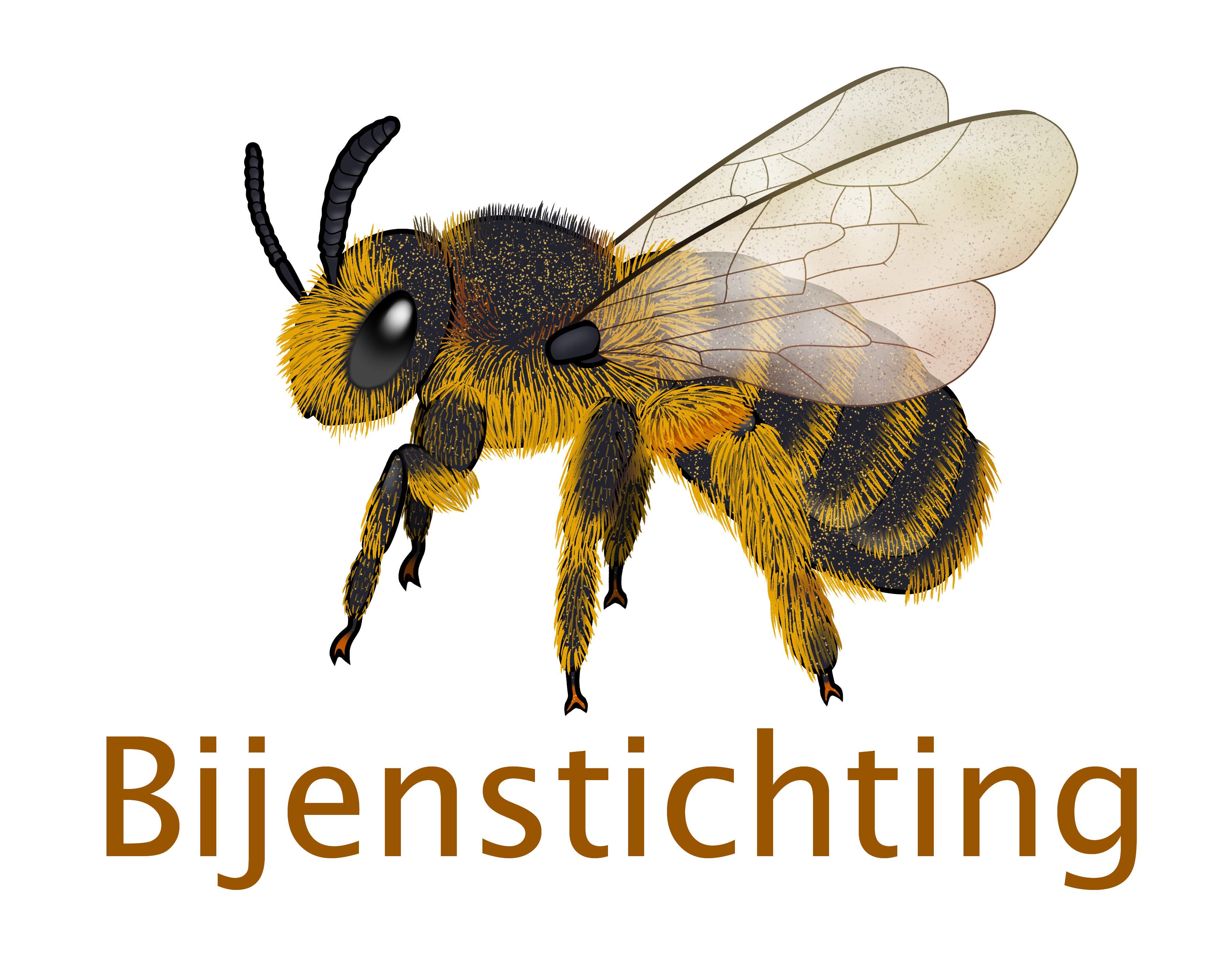 Help de wilde bij | Webshop van de Bijenstichting
