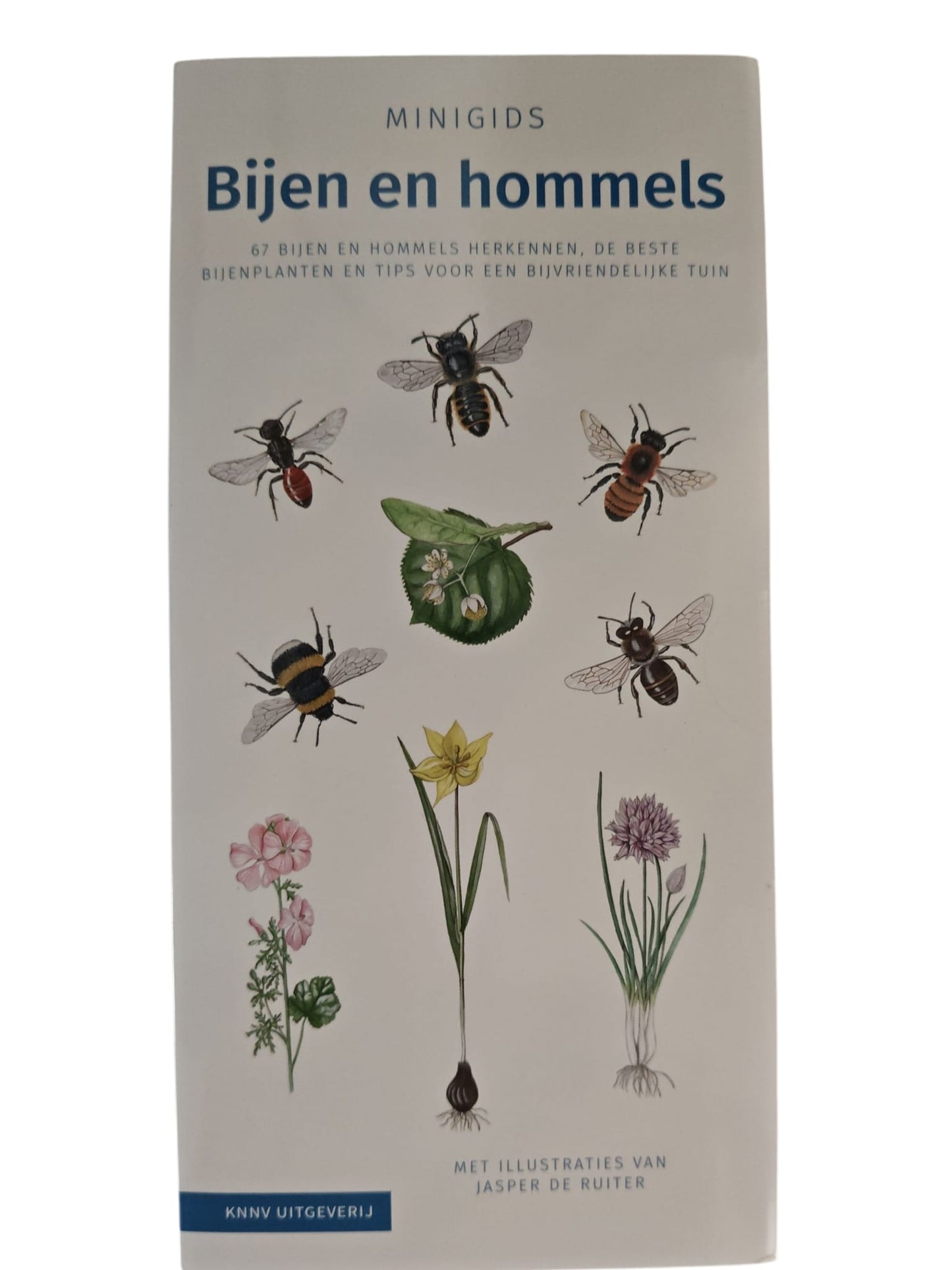 Minigids, Bijen en Hommels