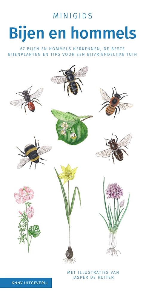 Hommelvriend cadeaupakket