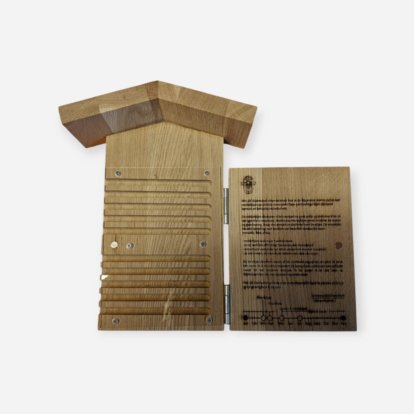 Bijenhotel observatiehuisje douglas