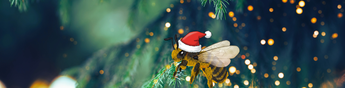 Fijne feestdagen & een gelukkig 2026!