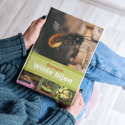 Boek basisgids wilde bijen 