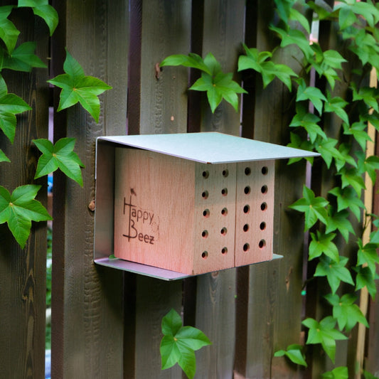 Bijenhotel Studio met 2 kleine cassettes