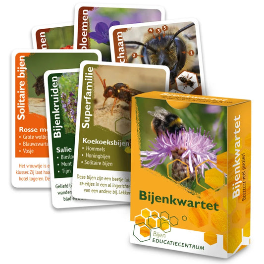 Bijenkwartet, 5 sets