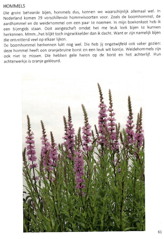 Boek, Groen Natuurlijk