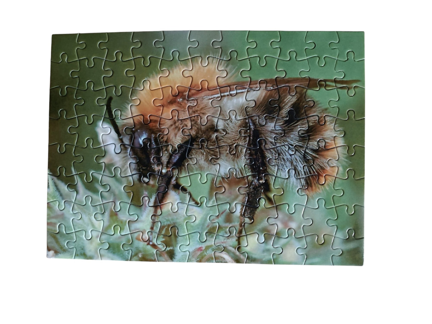 Puzzel nr 3 Akkerhommel