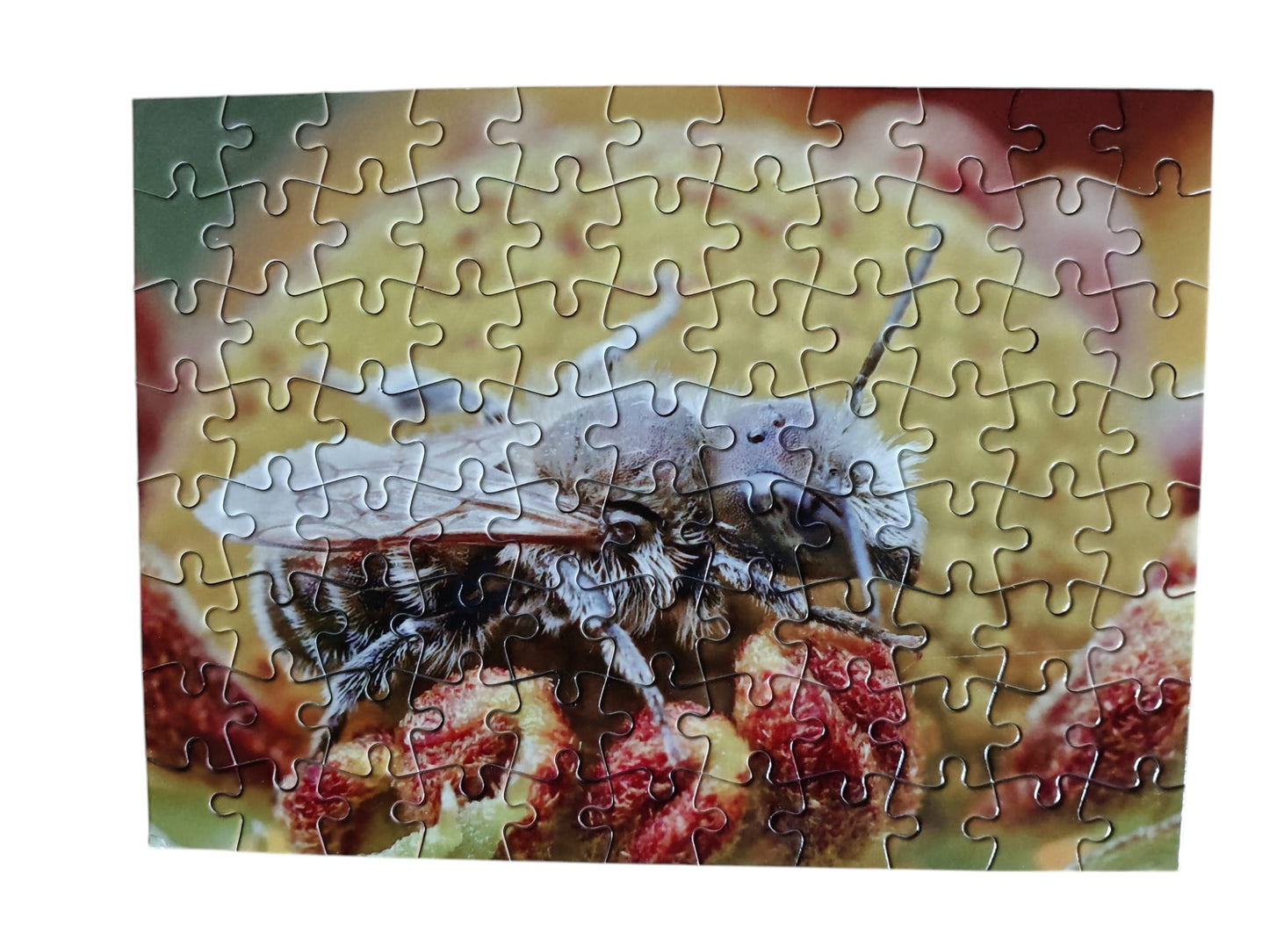 Puzzel nr 4 Blauwe metselbij