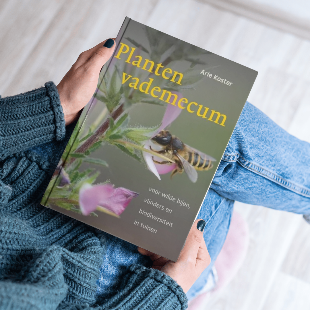 Boekomslag planten vademecum van Arie Koster