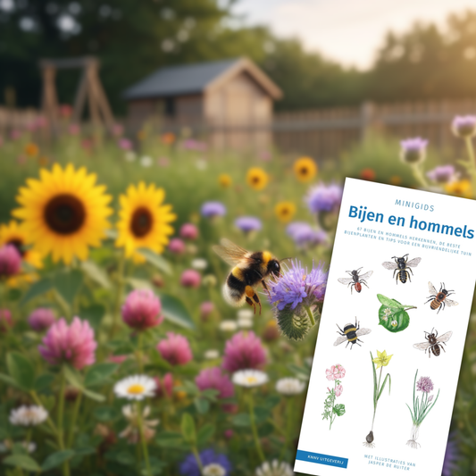 Hommelvriend cadeaupakket