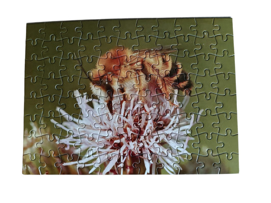 Puzzel nr 8 Pluimvoetbij (man)