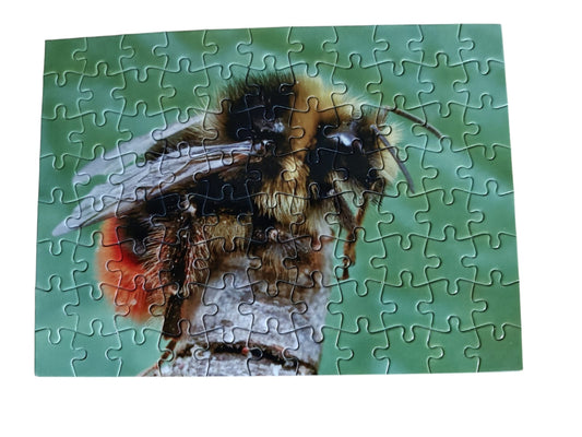 Puzzel nr 6 Steenhommel (man)