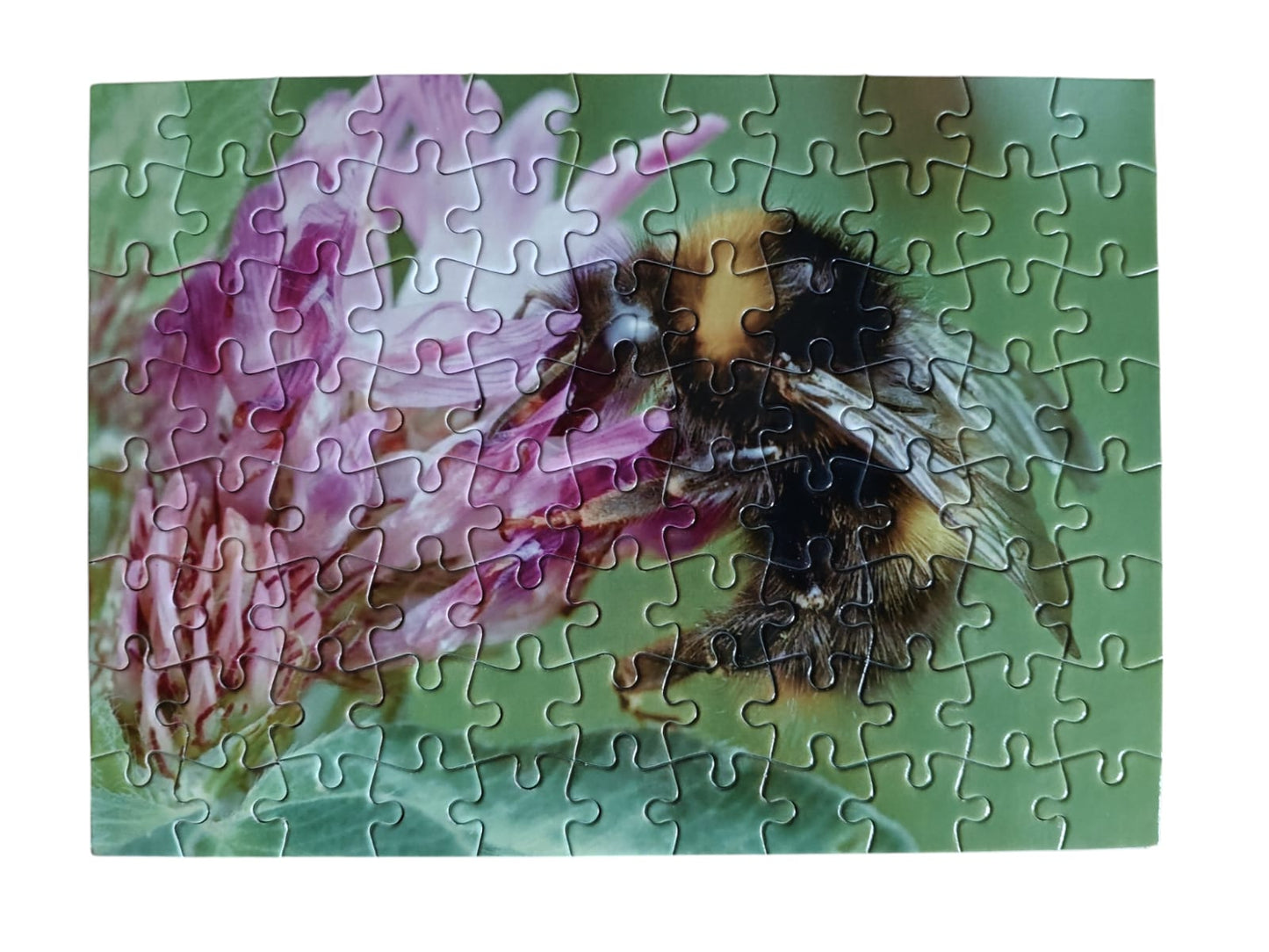 Puzzel nr 9 Tuinhommel